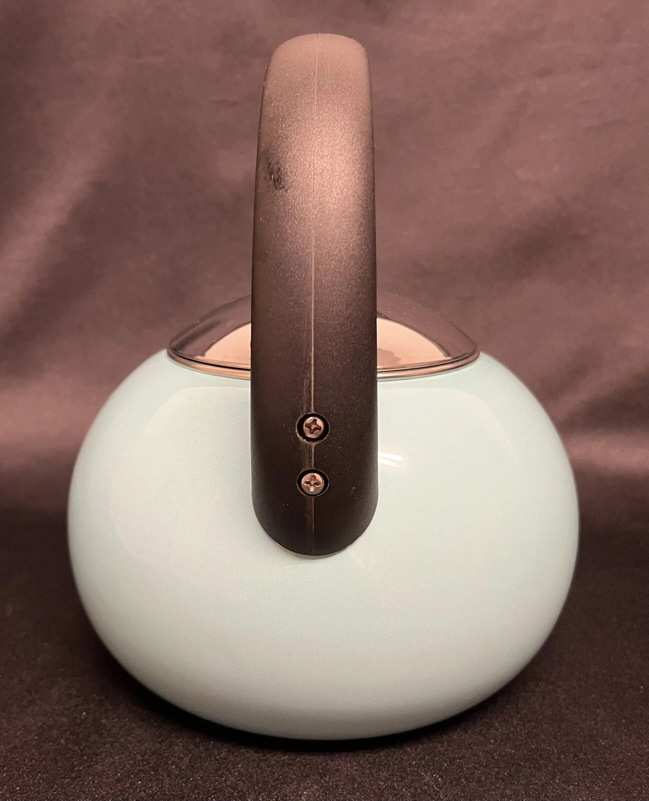 Farberware 2.5 qt LUNA Whistling Tea Kettle Aqua Color Porcelain Enamel EUC