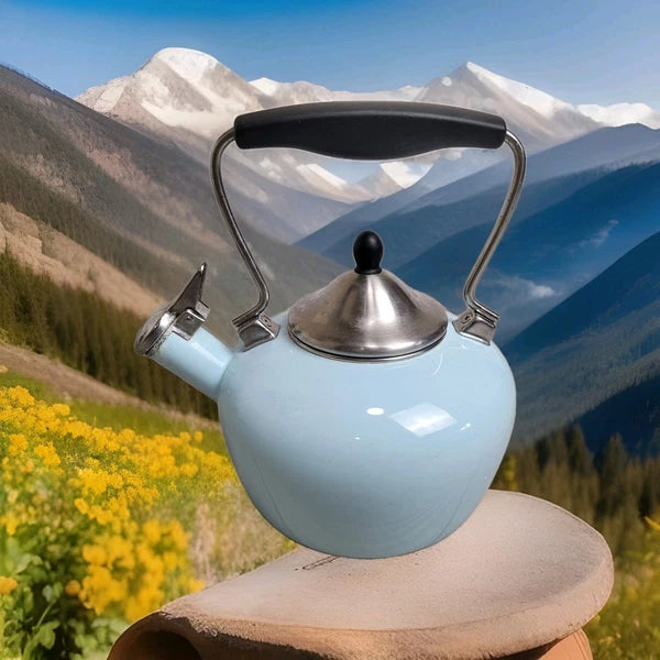 Chantal Aqua Enamel-on-Steel Whistling Teakettle 2 Qt – Stay-Cool Handle Tested