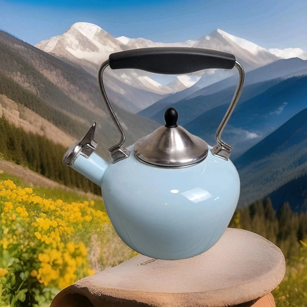 Chantal Aqua Enamel-on-Steel Whistling Teakettle 2 Qt – Stay-Cool Handle Tested