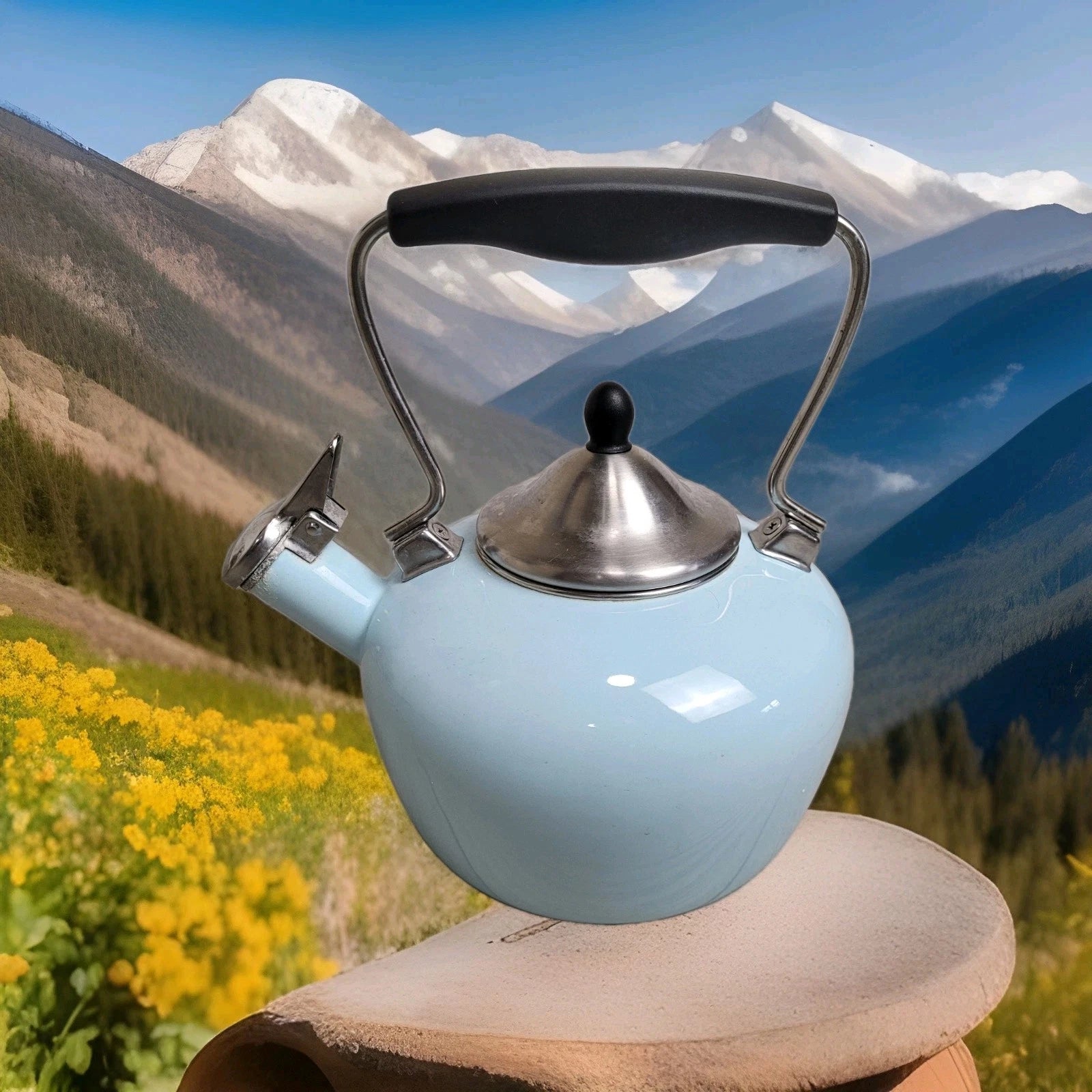 Chantal Aqua Enamel-on-Steel Whistling Teakettle 2 Qt – Stay-Cool Handle Tested