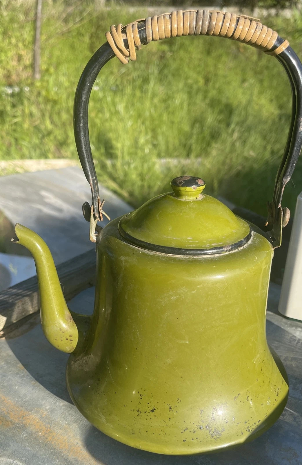 Vintage Collection Of Garden Green Enamelware Tea Pots Cups Container & Tray