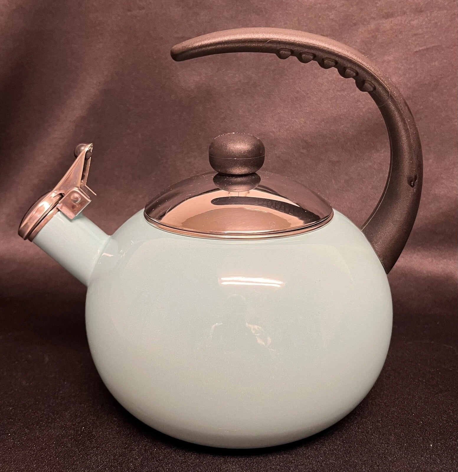 Farberware 2.5 qt LUNA Whistling Tea Kettle Aqua Color Porcelain Enamel EUC