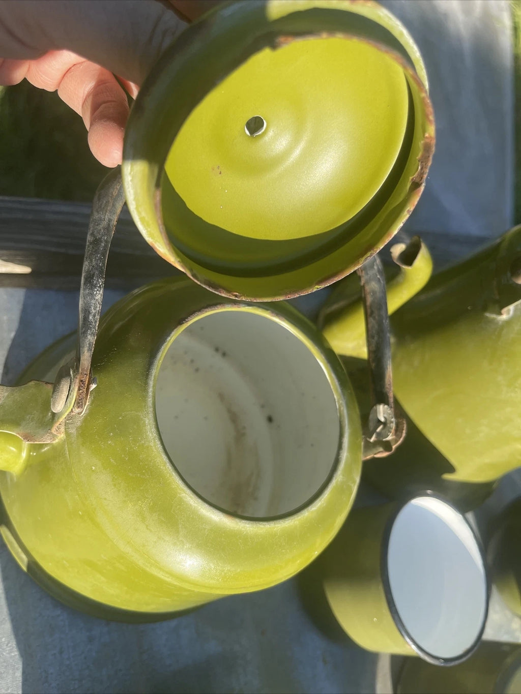 Vintage Collection Of Garden Green Enamelware Tea Pots Cups Container & Tray
