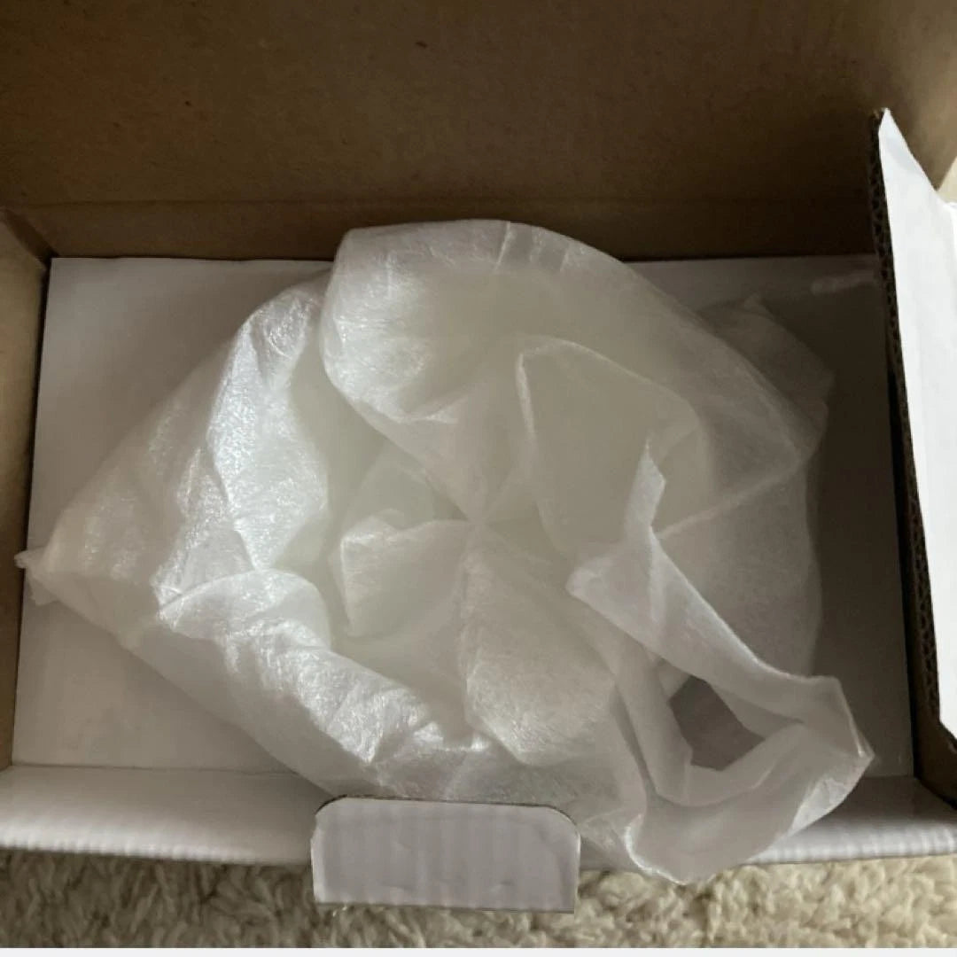 Snoopy m12N Carita  Museum Enamel Server 600 Teapot