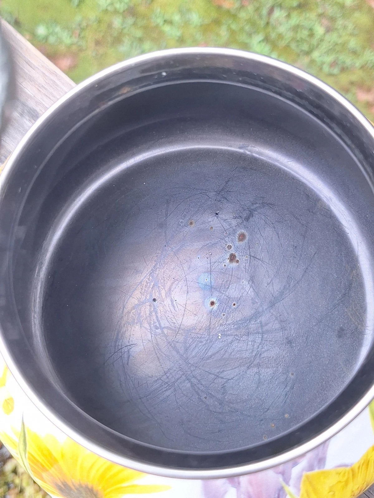 Pioneer Woman 2.3 Qt.tea Kettle Summer Garden Floral Enameled Steel Retired READ