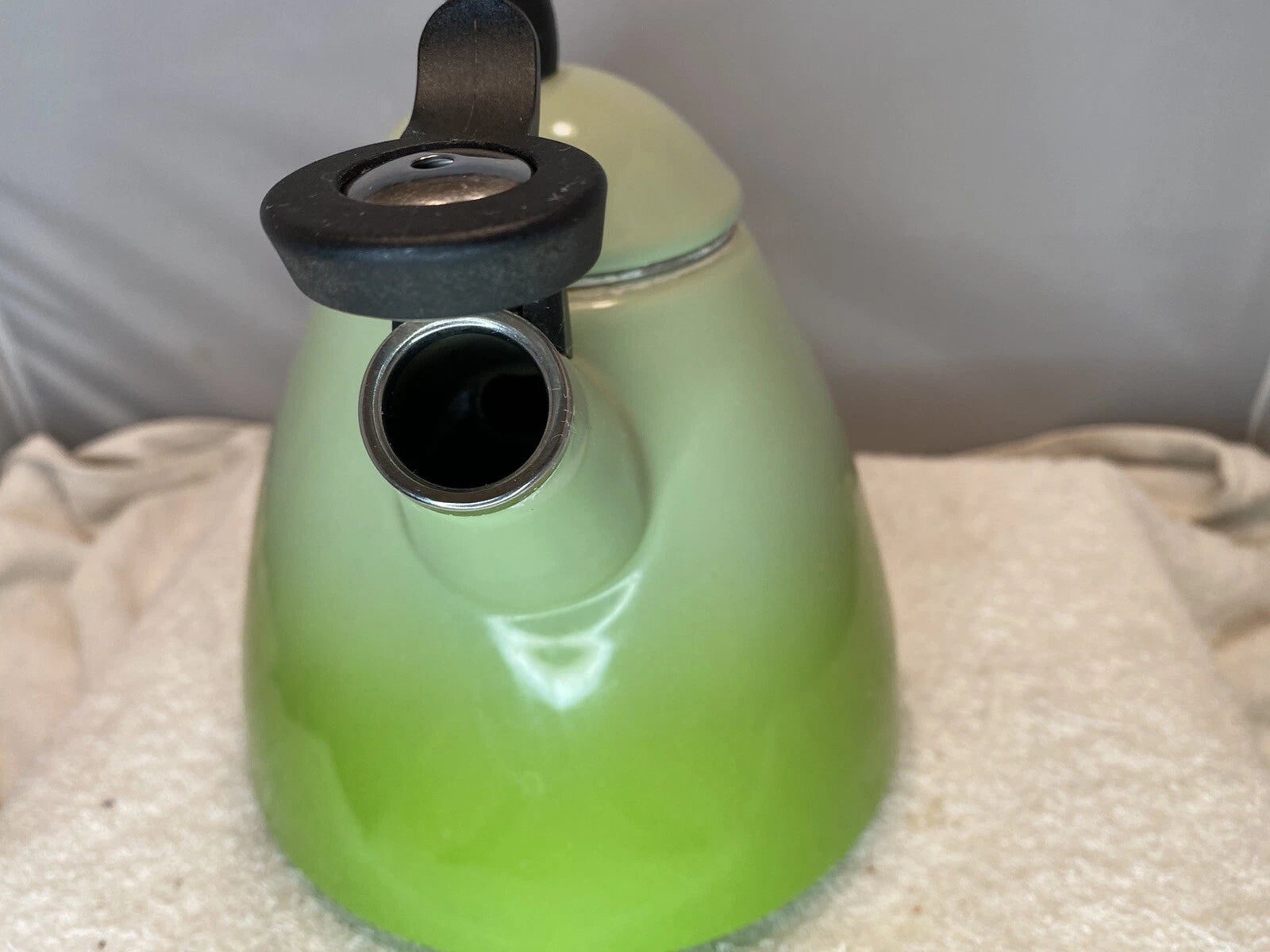 Le Creuset Ogive Enamel-on-Steel 1.7 Quart Tea Kettle - Kiwi Green Ombré