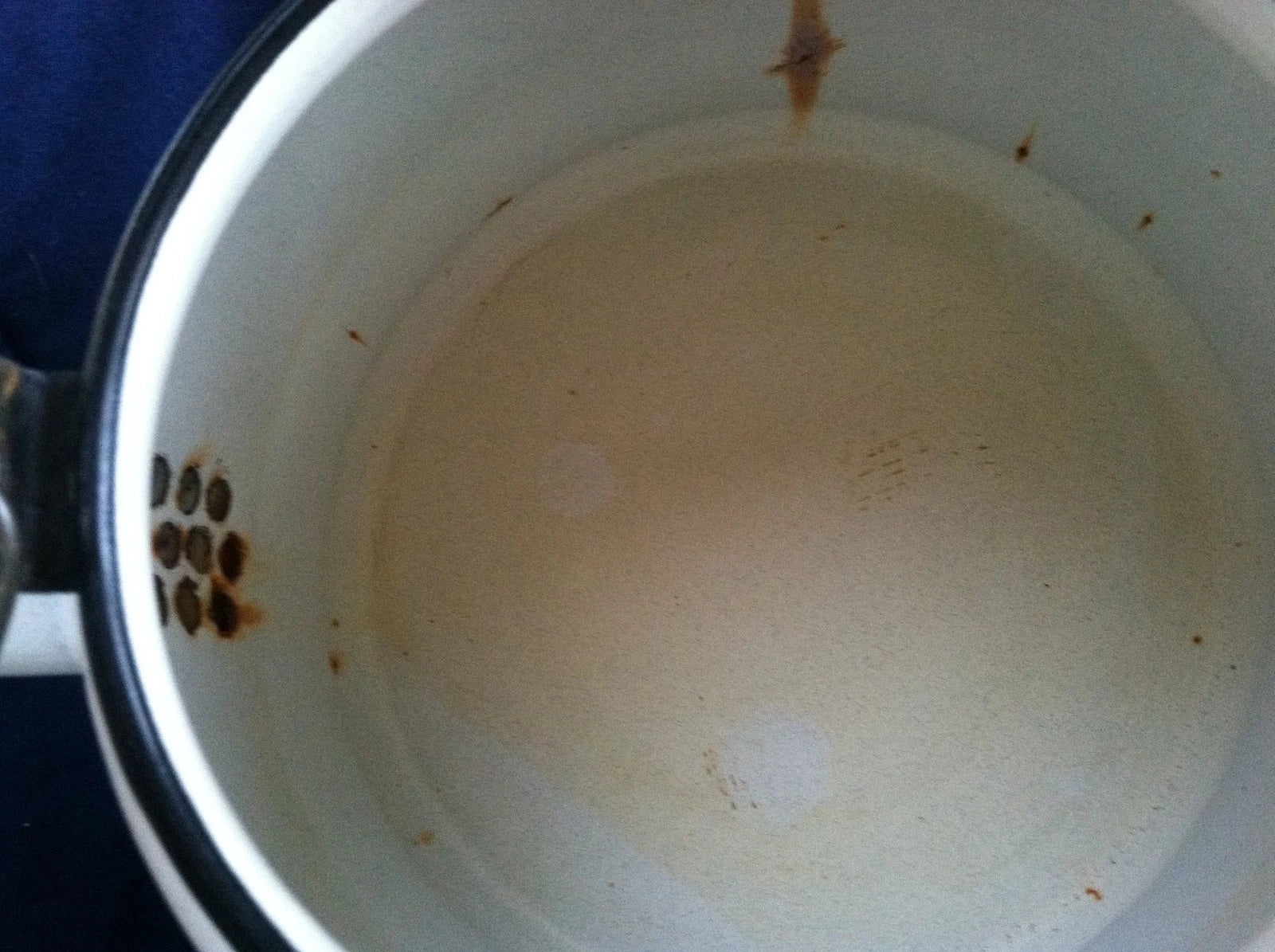 EnamelWare Tea Pot Berggren Scandinavian Rosemaling Folk Art Turkey Harvest