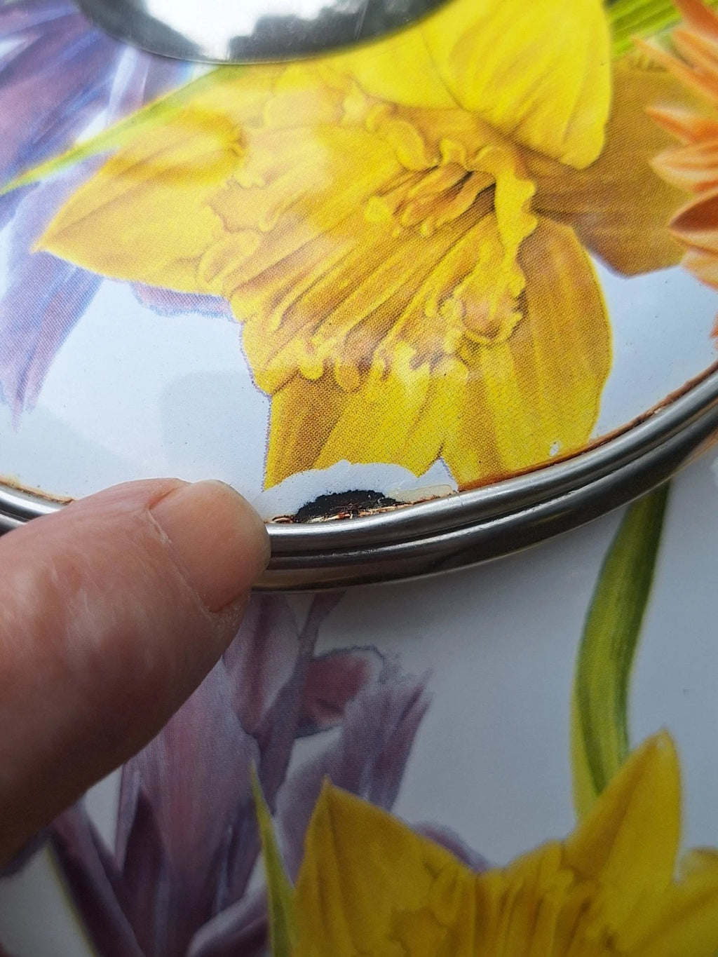 Pioneer Woman 2.3 Qt.tea Kettle Summer Garden Floral Enameled Steel Retired READ