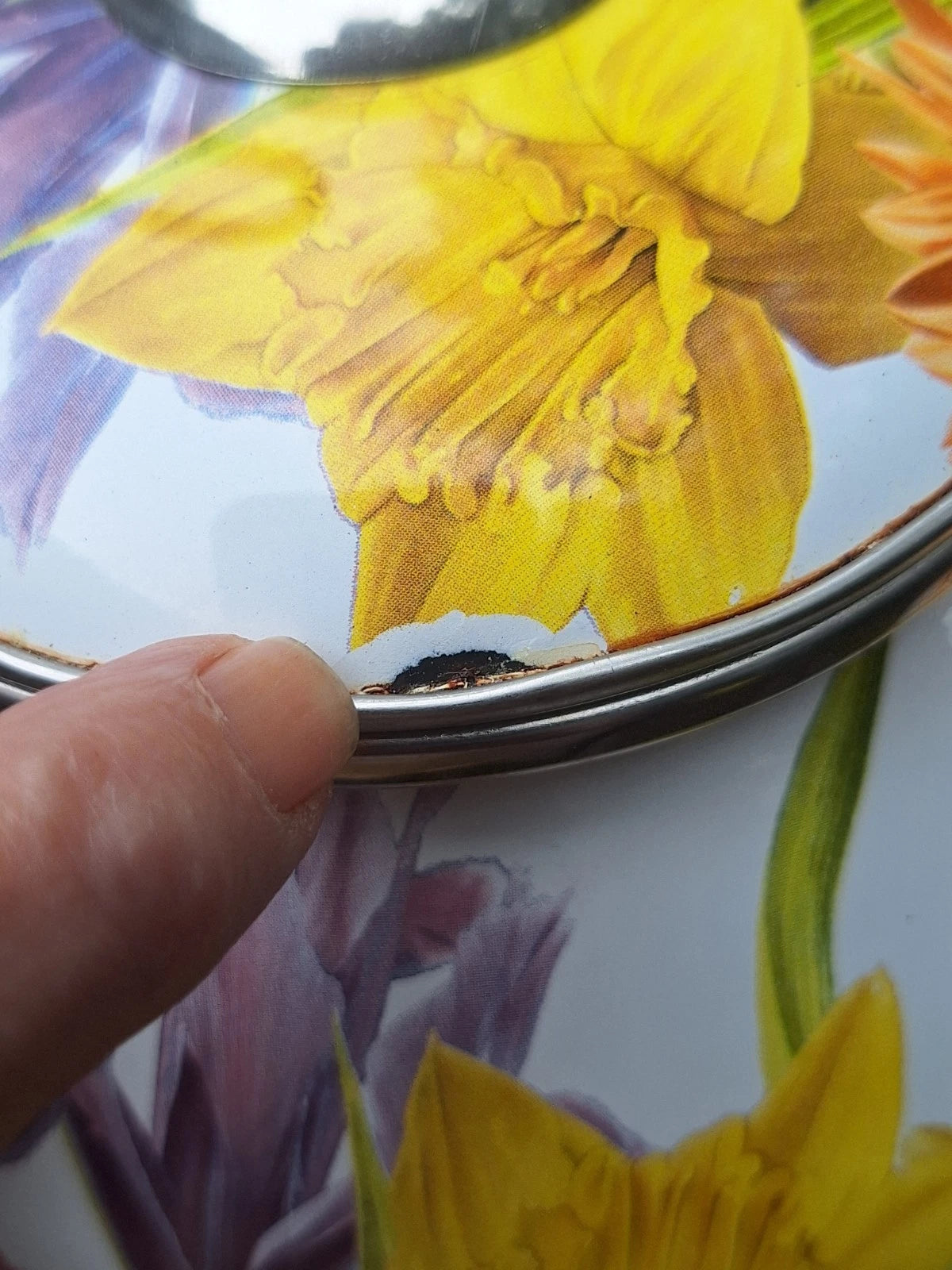 Pioneer Woman 2.3 Qt.tea Kettle Summer Garden Floral Enameled Steel Retired READ