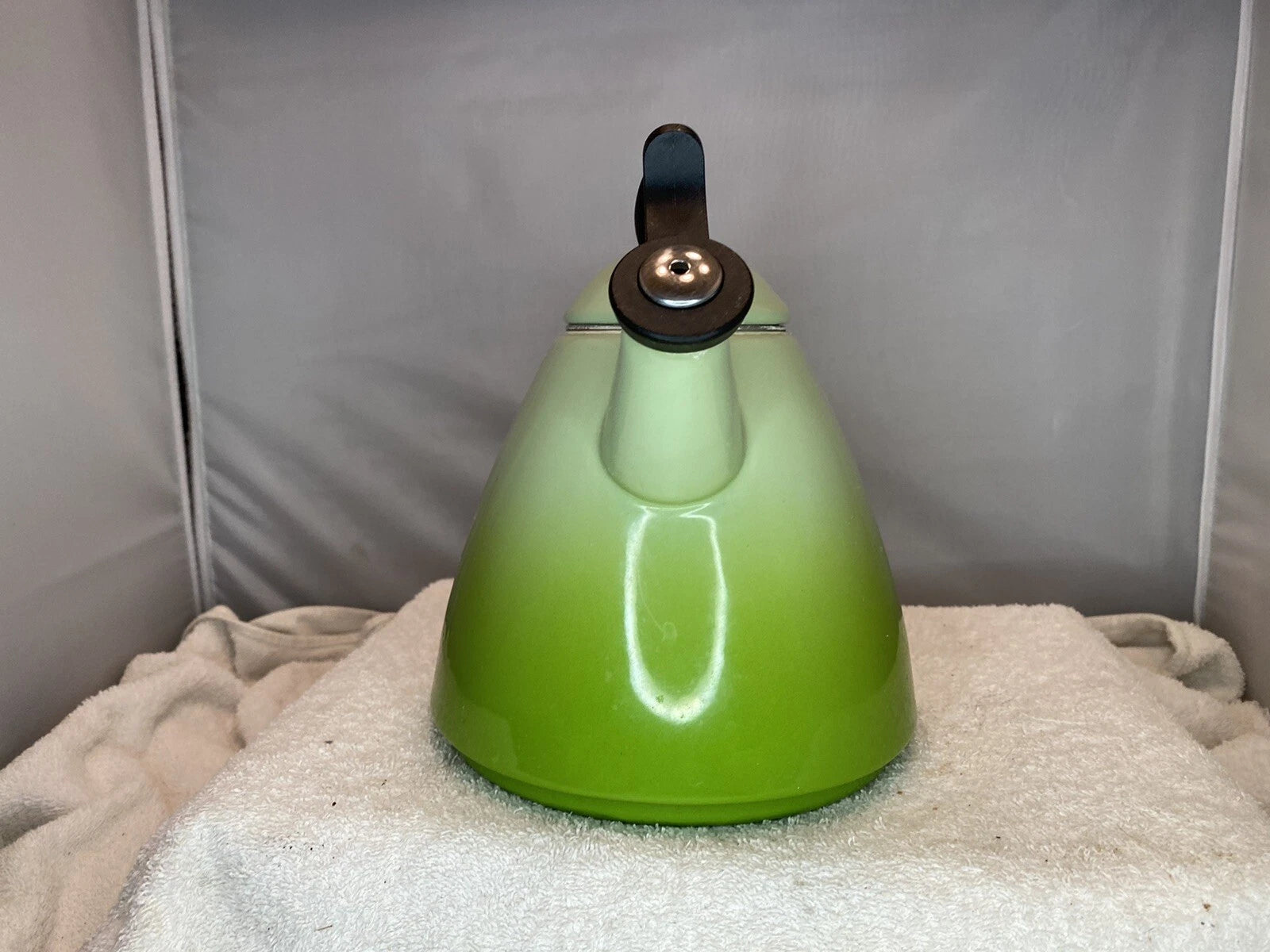 Le Creuset Ogive Enamel-on-Steel 1.7 Quart Tea Kettle - Kiwi Green Ombré