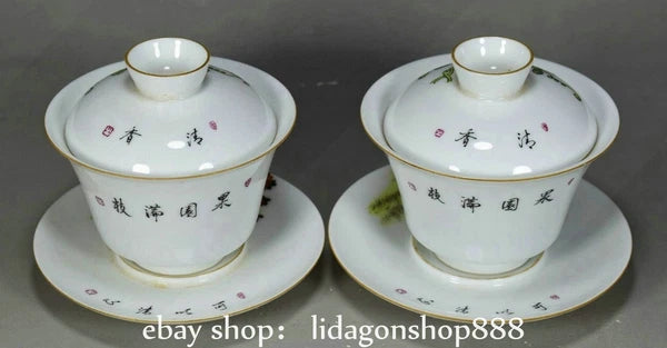 4.4" Old Chinese Yongzheng Enamel Porcelain Flower Fruit insect Bowl Pair
