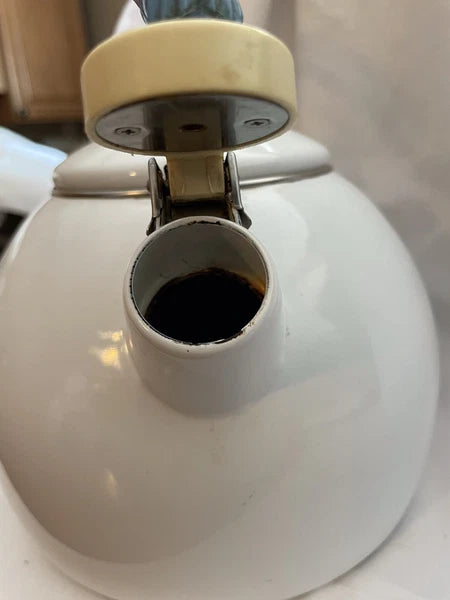 CERAMIC ON STEEL HUMMINGBIRD TEA KETTLE, Vintage, See Description!