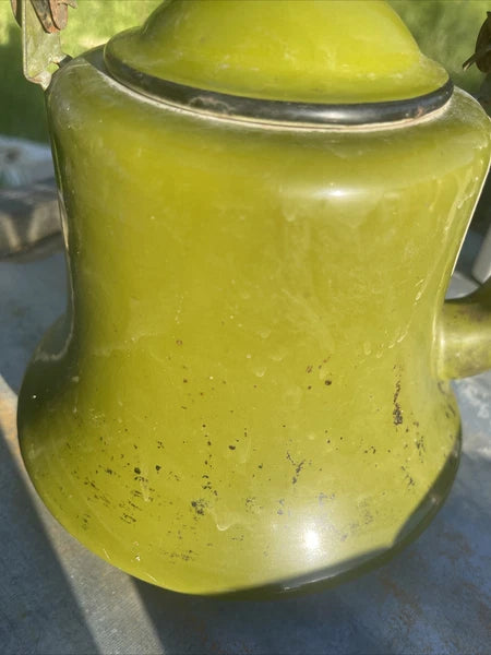 Vintage Collection Of Garden Green Enamelware Tea Pots Cups Container & Tray