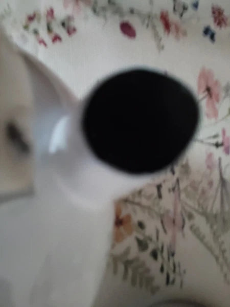 Pre Owned Pfaltzgraff Winterberry 3--Quart Enamel on Steel Tea Kettle