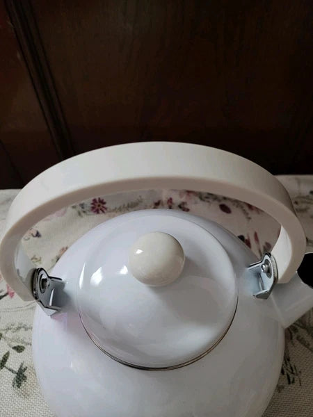 Pre Owned Pfaltzgraff Winterberry 3--Quart Enamel on Steel Tea Kettle