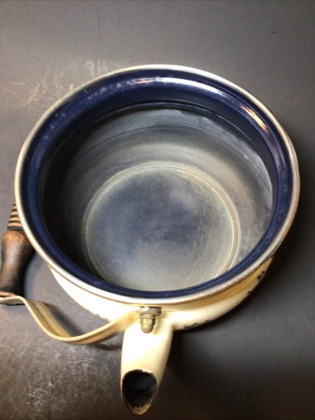 ASTA Enamelware Tea Kettle 1960s Amsterdam Teapot Brass Handles Floral - Germany